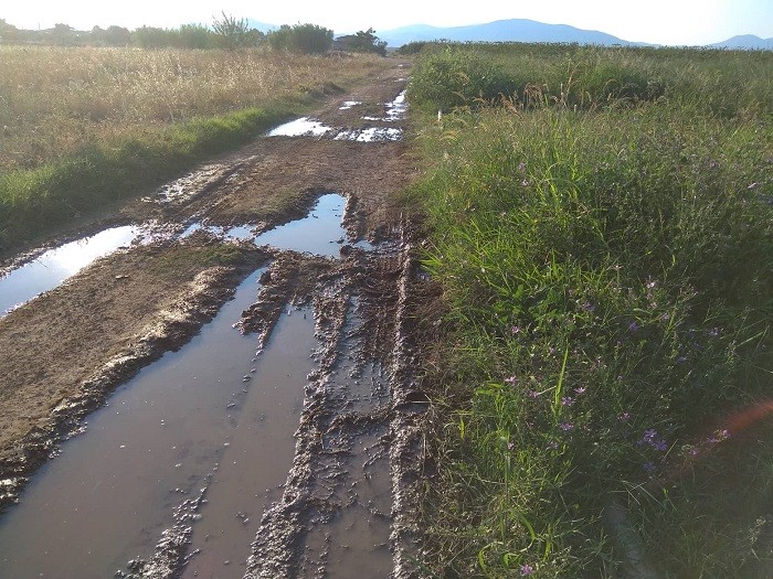 ΟΡΓΗ ΓΙΑ ΤΗΝ ΚΑΤΑΣΤΑΣΗ ΤΗΣ ΑΓΡΟΤΙΚΗΣ ΟΔΟΠΟΙΙΑΣ ΣΤΟΝ ΑΜΠΕΛΩΝΑ (ΦΩΤΟ)