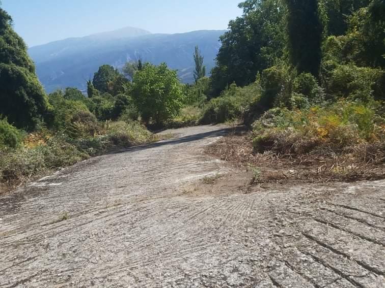 ΠΑΡΕΜΒΑΣΗ ΣΤΟ ΟΔΙΚΟ ΔΙΚΤΥΟ ΤΗΣ ΚΡΑΝΕΑΣ ΑΠΟ ΤΟ ΔΗΜΟ ΤΕΜΠΩΝ