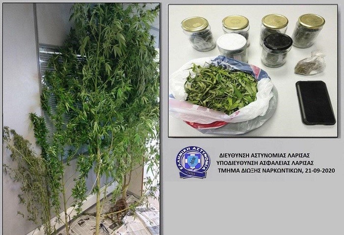ΜΙΑ ΣΥΛΛΗΨΗ ΓΙΑ ΝΩΠΟ ΚΑΙ ΑΠΟΞΗΡΑΜΕΝΟ ΧΑΣΙΣ ΣΤΗ ΛΑΡΙΣΑ