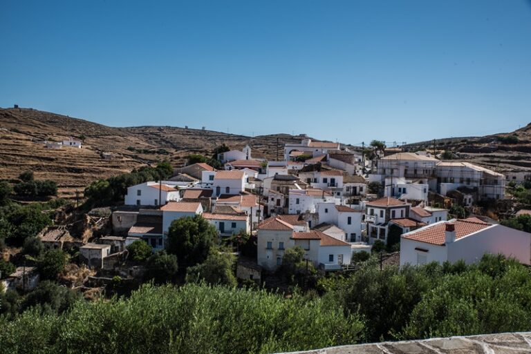 ΜΕ ΤΟΝ ΦΑΚΟ ΤΟΥ ΔΗΜΗΤΡΗ ΚΑΣΤΑΝΑΡΑ Η ΔΡΥΟΠΙΔΑ ΣΤΗΝ ΚΥΘΝΟ