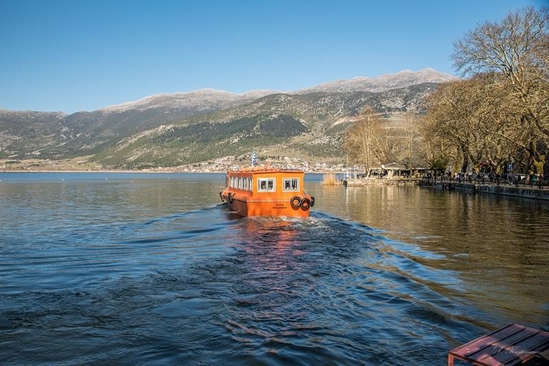 ΤΟ ΝΗΣΙ ΤΗΣ ΛΙΜΝΗΣ ΜΕ ΤΟΝ ΦΑΚΟ ΤΟΥ ΔΗΜΗΤΡΗ ΚΑΣΤΑΝΑΡΑ