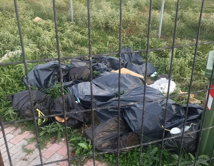 ΘΑ ΒΓΑΛΟΥΝ ΡΙΖΕΣ…