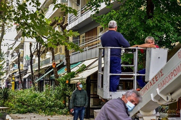 ΚΛΑΔΕΜΑΤΑ ΣΤΗΝ ΠΛΑΤΕΙΑ ΤΑΧΥΔΡΟΜΕΙΟΥ