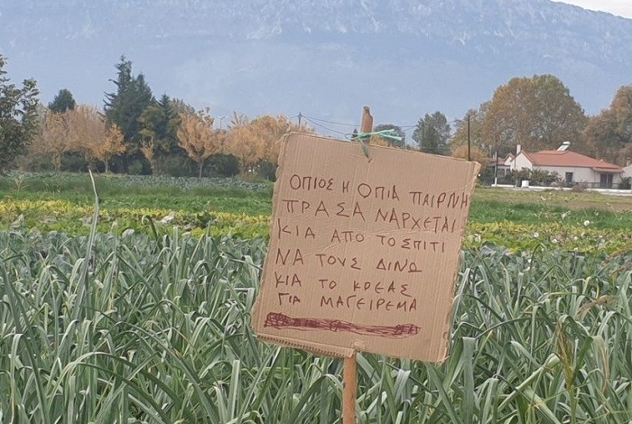 ΤΟΥΣ ΔΙΝΕΙ ΚΑΙ ΤΟ ΚΡΕΑΣ…