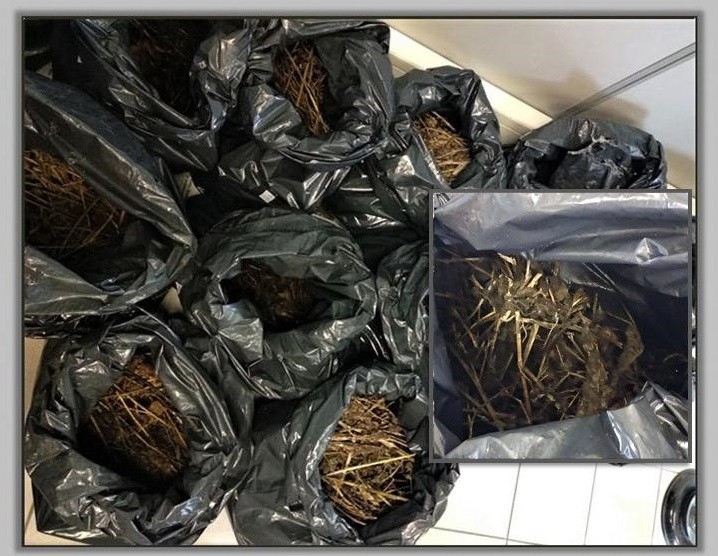 6 ΑΤΟΜΑ ΚΑΤΗΓΟΡΟΥΝΤΑΙ ΓΙΑ ΚΑΛΛΙΕΡΓΕΙΑ ΚΑΙ ΚΑΤΟΧΗ 40 ΚΙΛΩΝ ΧΑΣΙΣ
