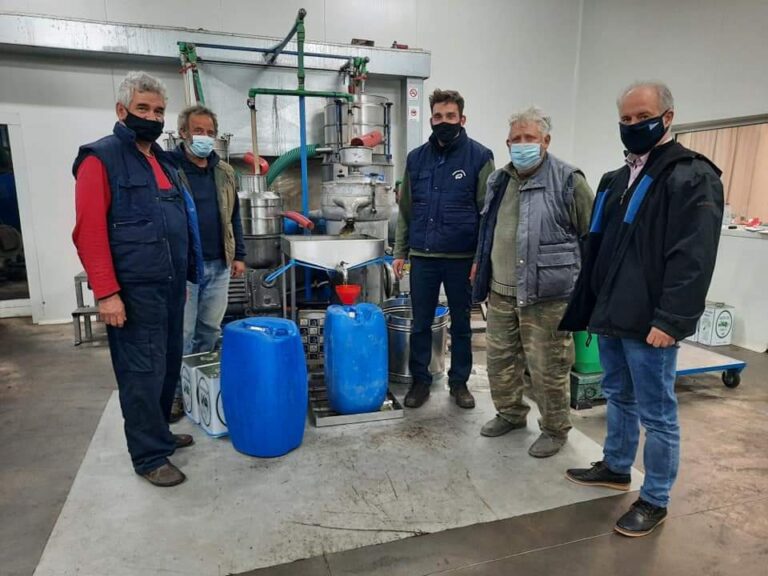 ΣΕ ΕΛΑΙΟΤΡΙΒΕΙΑ ΤΟΥ ΔΗΜΟΥ ΤΕΜΠΩΝ Ο ΓΙΩΡΓΟΣ ΜΑΝΩΛΗΣ