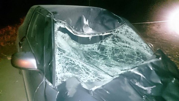 ΣΤΟ ΝΟΣΟΚΟΜΕΙΟ 2 ΑΤΟΜΑ ΜΕΤΑ ΑΠΟ ΣΥΓΚΡΟΥΣΗ ΙΧ ΜΕ ΑΓΕΛΑΔΑ ΣΤΟ ΔΡΟΜΟ ΡΟΔΙΑ – ΣΚΑΜΝΙΑ