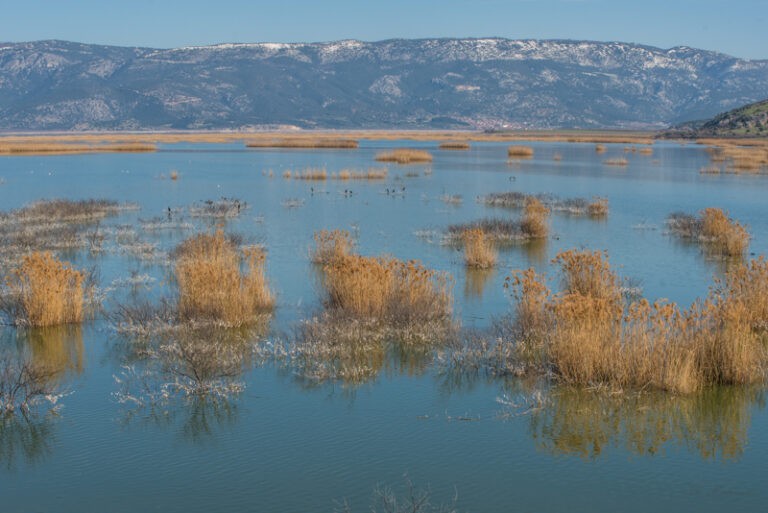 ΛΙΜΝΗ ΚΑΡΛΑ – Η ΑΝΑΣΤΑΣΗ ΤΗΣ ΜΙΣΟ ΑΙΩΝΑ ΜΕΤΑ (ΦΩΤΟ)