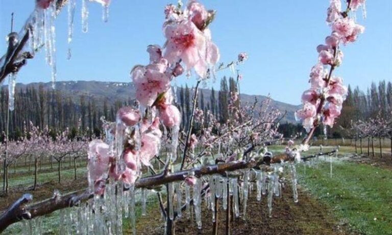 ΔΗΛΩΣΕΙΣ ΖΗΜΙΑΣ ΑΠΟ ΤΗ “ΜΗΔΕΙΑ” ΣΤΟ ΔΗΜΟ ΑΓΙΑΣ