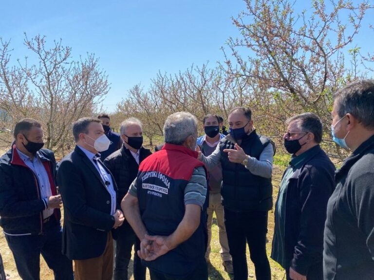 ΑΝΤΙΠΑΓΕΤΙΚΗ ΠΡΟΣΤΑΣΙΑ ΓΙΑ ΤΙΣ ΔΕΝΔΡΟΚΑΛΛΙΕΡΓΕΙΕΣ ΖΗΤΗΣΕ Ο ΧΡ. ΚΕΛΛΑΣ