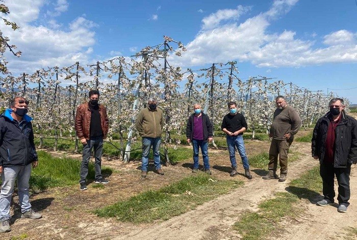 ΤΕΡΑΣΤΙΕΣ ΟΙ ΖΗΜΙΕΣ ΣΕ ΔΕΝΔΡΟΚΑΛΛΙΕΡΓΕΙΕΣ ΚΑΙ ΑΜΠΕΛΙΑ ΣΤΟ ΔΗΜΟ ΤΥΡΝΑΒΟΥ ΛΟΓΩ ΠΑΓΕΤΟΥ