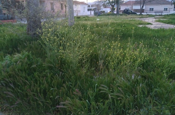 Η “ΖΟΥΓΚΛΑ” ΤΟΥ ΑΜΠΕΛΩΝΑ…
