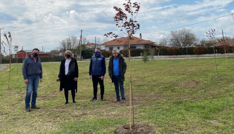 ΔΕΝΔΡΟΦΥΤΕΥΤΗΚΕ ΔΗΜΟΤΙΚΗ ΕΚΤΑΣΗ ΣΤΟ ΜΕΛΙΣΣΟΧΩΡΙ