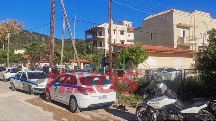 Η ΕΛΑΣ ΕΠΙΚΗΡΥΞΕ ΤΟΥΣ ΔΟΛΟΦΟΝΟΥΣ ΤΗΣ 20ΧΡΟΝΗΣ ΜΗΤΕΡΑΣ ΜΕ 300.000 €