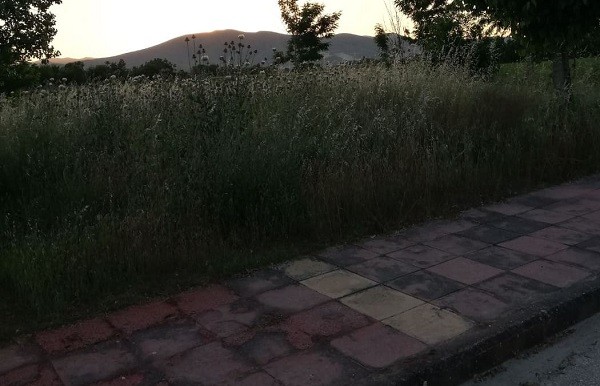 ΠΑΡΚΟ – ΖΟΥΓΚΛΑ ΛΟΓΩ ΚΑΙ ΔΙΑΡΡΟΗΣ ΝΕΡΟΥ ΣΤΟΝ ΑΜΠΕΛΩΝΑ (φωτο)