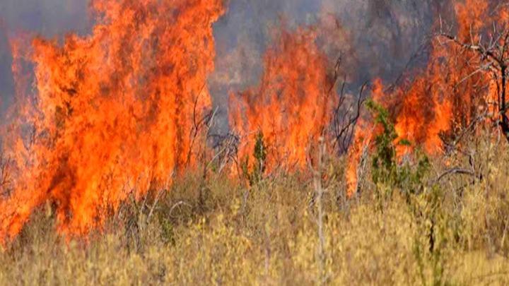 ΦΩΤΙΑ ΠΛΗΣΙΟΝ ΤΟΥ ΝΕΟΥ ΚΟΙΜΗΤΗΡΙΟΥ ΛΑΡΙΣΑΣ ΚΙΝΗΤΟΠΟΙΗΣΕ ΤΗΝ ΠΥΡΟΣΒΕΣΤΙΚΗ