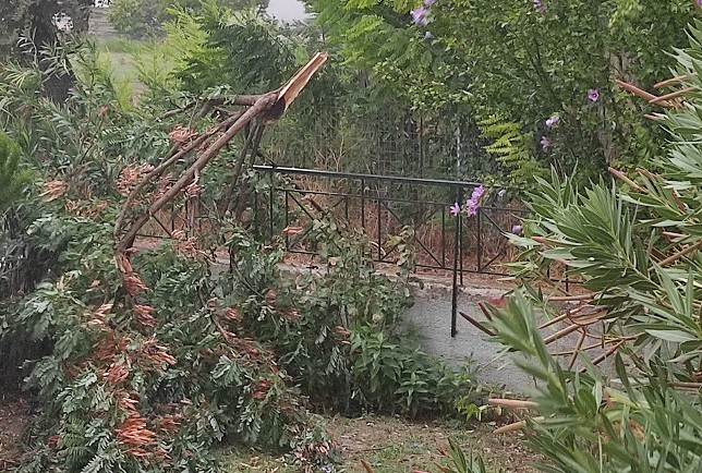 ΠΑΡΑΛΙΓΟ ΑΤΥΧΗΜΑ: ΤΕΡΑΣΤΙΟ ΚΛΑΔΙ ΕΠΕΣΕ ΣΤΗΝ ΑΥΛΗ ΣΠΙΤΙΟΥ ΣΤΟΝ ΑΜΠΕΛΩΝΑ