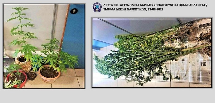 ΛΑΡΙΣΑΙΟΣ ΚΑΤΗΓΟΡΕΙΤΑΙ ΓΙΑ ΚΑΛΛΙΕΡΓΕΙΑ ΧΑΣΙΣ