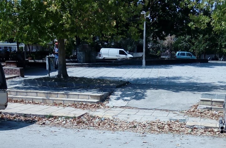 ΠΑΡΑΠΟΝΑ ΓΙΑ ΤΑ ΡΙΓΜΕΝΑ ΦΥΛΛΑ ΚΑΙ ΑΠΟ ΤΟ ΣΕΙΣΜΟΠΛΗΚΤΟ ΔΑΜΑΣΙ (ΦΩΤΟ – ΒΙΝΤΕΟ)