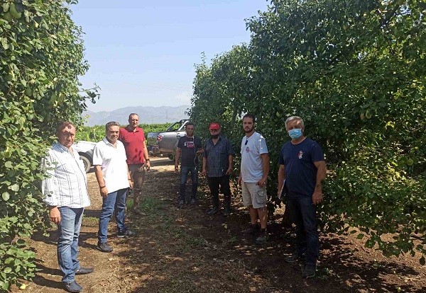 ΚΛΙΜΑΚΙΟ ΤΟΥ ΕΛΓΑ ΣΗΜΕΡΑ ΣΤΟΝ ΔΗΜΟ ΤΥΡΝΑΒΟΥ