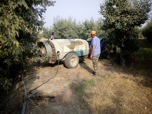ΑΓΡΟΤΗΣ “ΕΥΡΩΠΑΙΟΣ” ΑΠΟ ΤΟΝ ΑΜΠΕΛΩΝΑ ΒΡΗΚΕ ΤΡΟΠΟ ΝΑ ΠΟΤΙΖΕΙ ΤΙΣ ΑΧΛΑΔΙΕΣ…