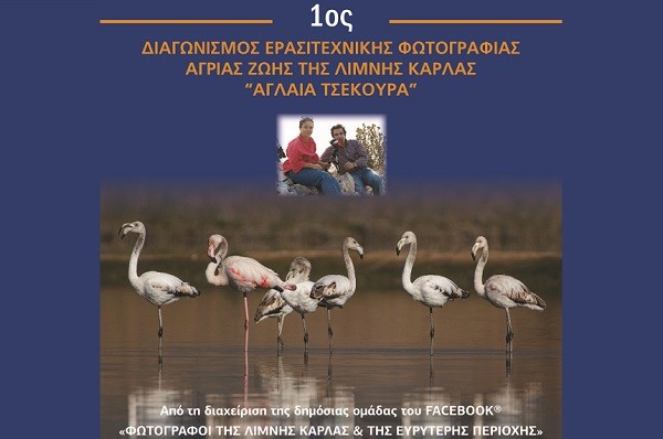 ΔΙΑΓΩΝΙΣΜΟΣ ΕΡΑΣΙΤΕΧΝΙΚΗΣ ΦΩΤΟΓΡΑΦΙΑΣ ΑΓΡΙΑΣ ΖΩΗΣ ΤΗΣ ΛΙΜΝΗΣ ΚΑΡΛΑ «ΑΓΛΑΪΑ ΤΣΕΚΟΥΡΑ»