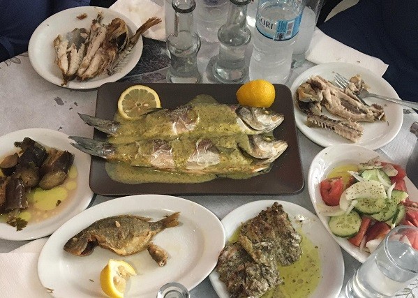 ΓΙΑ ΤΣΙΠΟΥΡΟ – ΚΡΑΣΙ – ΜΠΥΡΑ ΚΑΘΕ ΜΕΣΗΜΕΡΙ “ΚΟΖΙ” ΣΤΟΝ ΑΜΠΕΛΩΝΑ