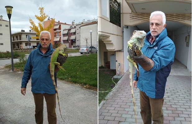 ΑΣΥΝΕΙΔΗΤΟΙ ΕΓΚΑΤΕΛΕΙΨΑΝ ΙΓΚΟΥΑΝΑ ΔΙΠΛΑ ΣΕ ΚΑΔΟ ΑΠΟΡΡΙΜΜΑΤΩΝ ΣΤΗ ΛΑΡΙΣΑ