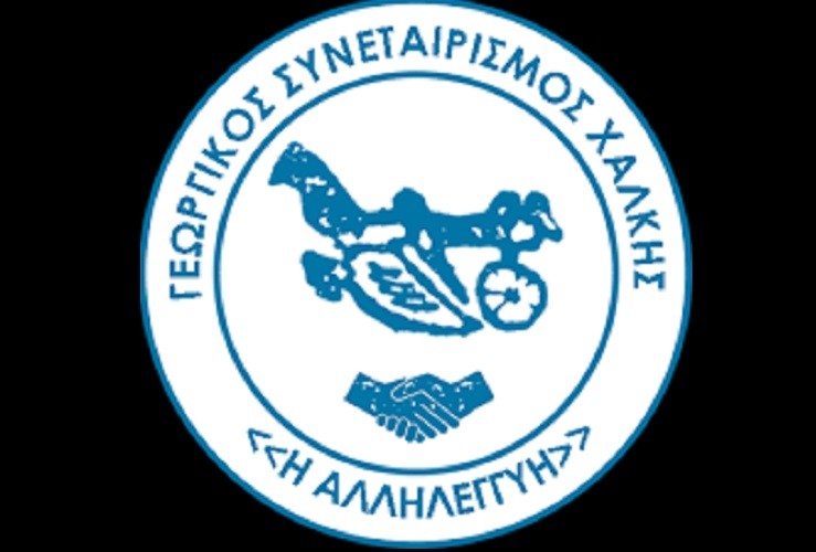 ΝΕΑ ΔΙΟΙΚΗΣΗ ΣΤΟΝ ΓΕΩΡΓΙΚΟ ΣΥΝΕΤΑΙΡΙΣΜΟ ΧΑΛΚΗΣ «Η ΑΛΛΗΛΕΓΓΥΗ»