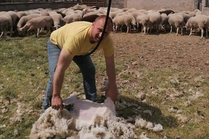ΣΤΙΓΜΙΟΤΥΠΑ ΑΠΟ ΤΗΝ ΚΟΥΡΑ ΤΩΝ ΠΡΟΒΑΤΩΝ ΣΤΟΝ ΑΜΠΕΛΩΝΑ