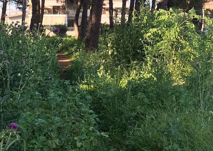 ΖΟΥΓΚΛΑ ΤΟ ΑΛΣΟΣ ΤΟΥ ΠΡΟΦΗΤΗ ΗΛΙΑ ΣΤΟΝ ΤΥΡΝΑΒΟ – ΠΟΛΛΑ ΠΑΡΑΠΟΝΑ ΓΙΑ ΠΑΡΚΑ ΣΤΟΝ ΑΜΠΕΛΩΝΑ