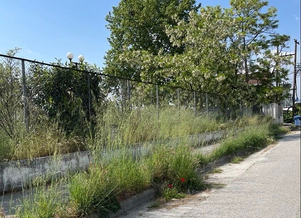 ΑΠΑΡΑΔΕΚΤΗ Η ΚΑΤΑΣΤΑΣΗ ΣΤΑ ΠΑΡΚΑ ΤΟΥ ΑΜΠΕΛΩΝΑ