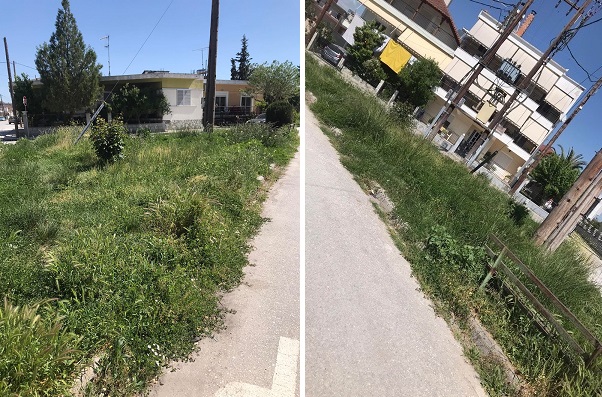 ΠΛΗΘΑΙΝΟΥΝ ΤΑ ΠΑΡΑΠΟΝΑ ΓΙΑ ΤΑ ΧΟΡΤΑ ΣΕ ΠΑΡΚΑ ΤΟΥ ΤΥΡΝΑΒΟΥ