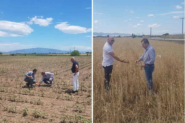 ΣΕ ΧΑΛΑΖΟΠΛΗΚΤΑ ΧΩΡΑΦΙΑ ΣΤΟΥΣ ΔΗΜΟΥΣ ΕΛΑΣΣΟΝΑΣ ΚΑΙ ΚΙΛΕΛΕΡ Ο Β. ΚΟΚΚΑΛΗΣ