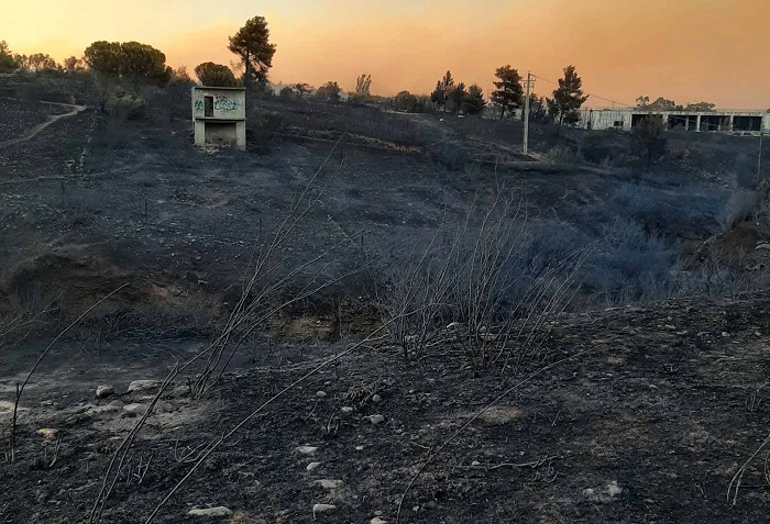 ΔΕΝ ΦΤΑΙΕΙ Ο «ΣΤΡΑΤΗΓΟΣ ΆΝΕΜΟΣ», ΑΛΛΑ ΟΙ ΔΑΣΟΚΤΟΝΟΙ ΝΟΜΟΙ ΚΑΙ Η ΕΜΠΟΡΕΥΜΑΤΟΠΟΙΗΣΗ ΤΗΣ ΓΗΣ
