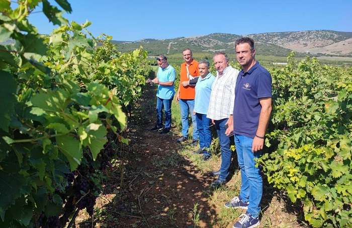 ΑΥΤΟΨΙΑ ΣΤΙΣ ΧΑΛΑΖΟΠΛΗΚΤΕΣ ΚΑΛΛΙΕΡΓΕΙΕΣ ΤΟΥ ΔΑΜΑΣΙΟΥ
