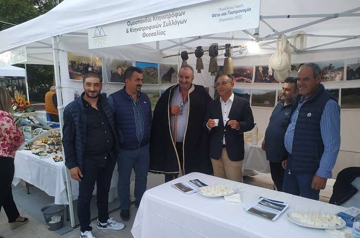 ΣΤΗΝ ΕΛΑΣΣΟΝΑ ΧΤΥΠΑΕΙ Η ΚΑΡΔΙΑ ΤΗΣ ΦΕΤΑΣ