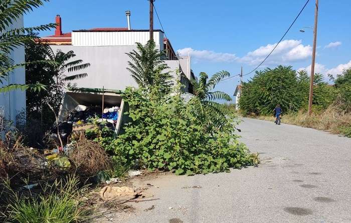 ΣΚΟΥΠΙΔΟΤΟΠΟΣ ΔΙΠΛΑ ΣΕ ΣΠΙΤΙΑ ΣΤΑ ΔΕΝΔΡΑ ΤΥΡΝΑΒΟΥ