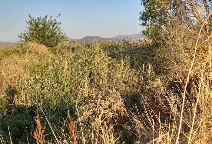 ΔΥΟ ΧΡΟΝΙΑ ΜΕΤΑ ΤΟΝ «ΙΑΝΟ» Η ΕΠΑΡΧΙΑ ΦΑΡΣΑΛΩΝ ΠΑΡΑΜΕΝΕΙ ΑΝΟΧΥΡΩΤΗ ΣΤΑ ΦΥΣΙΚΑ ΦΑΙΝΟΜΕΝΑ