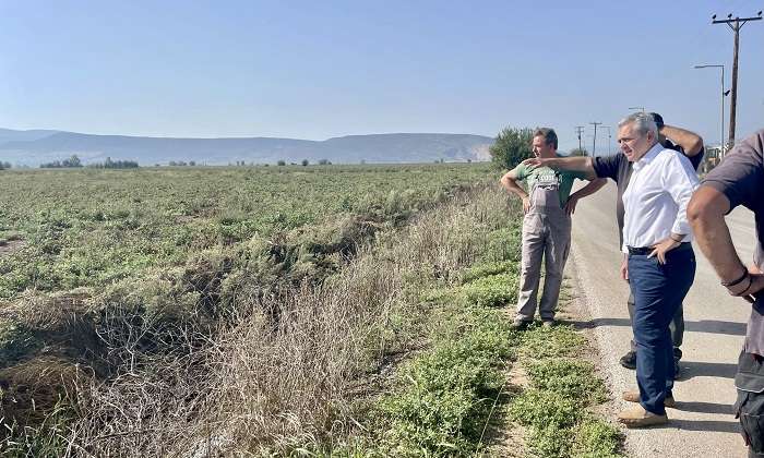 ΔΙΚΑΙΕΣ ΑΠΟΖΗΜΙΩΣΕΙΣ ΚΑΙ ΕΠΙΠΛΕΟΝ ΣΥΝΔΡΟΜΗ ΣΕ ΝΤΟΜΑΤΟΠΑΡΑΓΩΓΟΥΣ