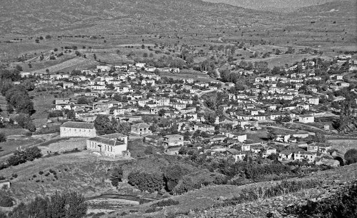 ΛΥΚΟΥΔΙ ΕΛΑΣΣΟΝΑΣ: ΌΨΕΙΣ ΠΑΡΑΔΟΣΗΣ»