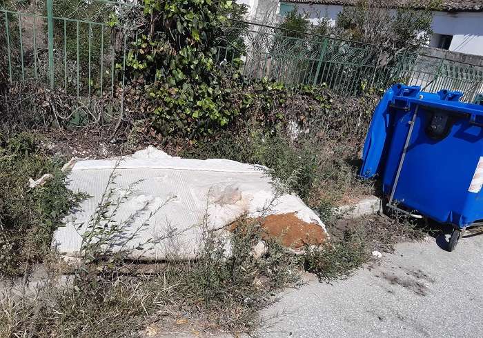 ΕΣΤΙΑ ΜΟΛΥΝΣΗΣ ΕΓΚΑΤΑΛΕΛΕΙΜΜΕΝΟ ΣΤΡΩΜΑ ΣΤΟΝ ΑΜΠΕΛΩΝΑ