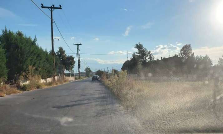 ΑΜΠΕΛΩΝΑΣ: ΧΟΡΤΑ ΚΑΙ ΑΓΚΑΘΙΑ ΚΑΤΑΛΑΜΒΑΝΟΥΝ ΠΕΖΟΔΡΟΜΙΑ ΚΑΙ ΟΔΟΣΤΡΩΜΑ