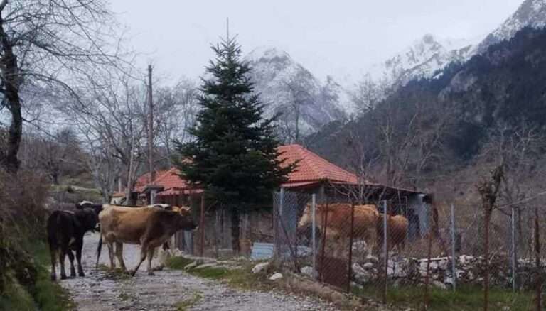 ΓΙΑ ΤΑ ΑΝΕΠΙΤΗΡΗΤΑ ΒΟΟΕΙΔΗ ΣΤΗΝ ΠΡΕΣΠΑ