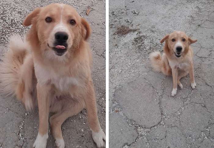 Ο ΡΟΚΙ ΧΑΘΗΚΕ ΣΤΟΝ ΑΜΠΕΛΩΝΑ