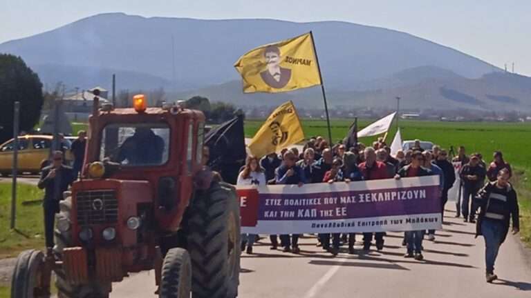 ΤΙΜΗΣΑΝ ΑΓΩΝΙΣΤΙΚΑ ΤΗΝ ΕΠΕΤΕΙΟ ΤΟΥ ΞΕΣΗΚΩΜΟΥ ΤΩΝ ΚΟΛΙΓΩΝ ΣΤΟ ΚΙΛΕΛΕΡ