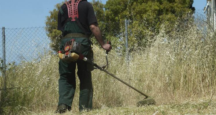 ΔΗΜΟΣ ΕΛΑΣΣΟΝΑΣ: ΥΠΟΧΡΕΩΤΙΚΗ Η ΑΠΟΨΙΛΩΣΗ ΧΟΡΤΩΝ ΑΠΟ ΤΟΥΣ ΙΔΙΟΚΤΗΤΕΣ ΤΩΝ ΟΙΚΟΠΕΔΩΝ ΜΕΧΡΙ 30 ΑΠΡΙΛΙΟΥ