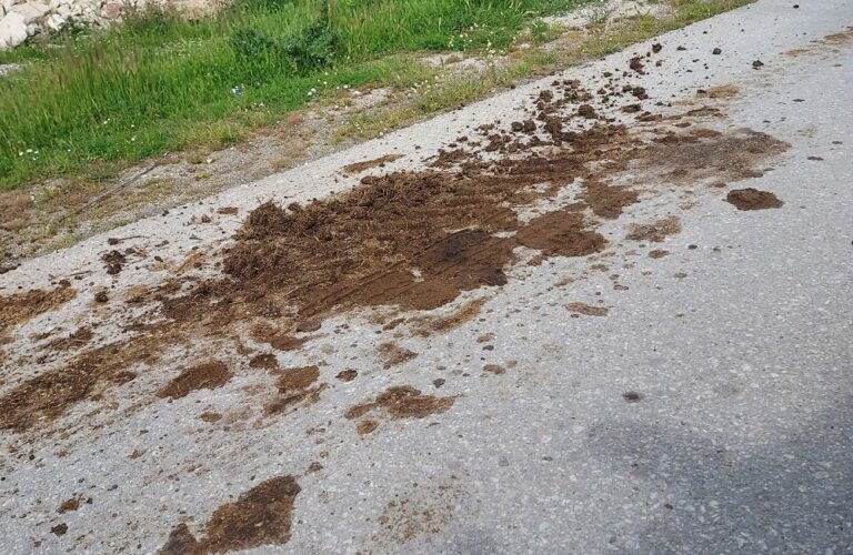 ΠΛΗΜΜΥΡΙΣΑΝ ΜΕ ΚΟΠΡΙΑ ΔΡΟΜΟΙ ΤΟΥ ΑΜΠΕΛΩΝΑ