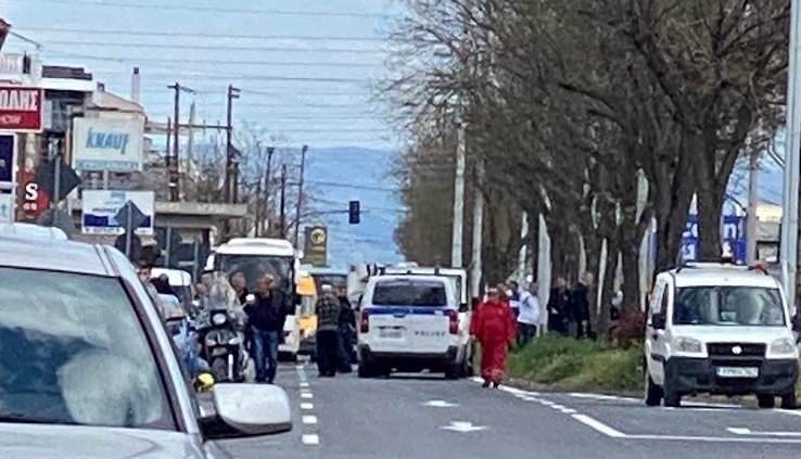 Ε. ΛΙΑΚΟΥΛΗ: ΚΑΡΜΑΝΙΟΛΑ ΤΗΣ ΛΑΡΙΣΑΣ, Η ΟΔΟΣ ΒΟΛΟΥ