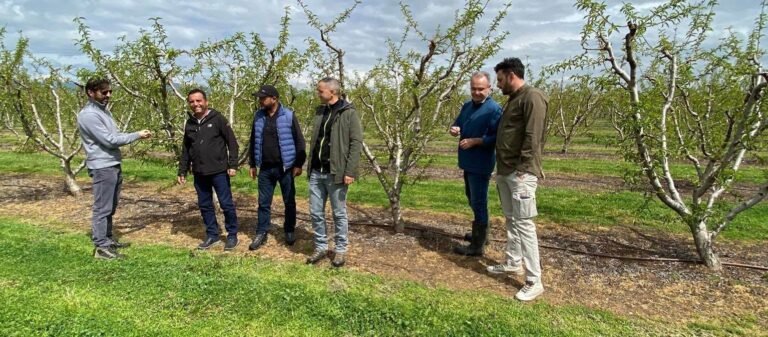 ΣΤ. ΤΣΙΚΡΙΤΣΗΣ: «ΧΤΥΠΗΣΕ» ΧΑΛΑΖΙ ΚΑΛΛΙΕΡΓΕΙΕΣ ΣΕ ΔΕΝΔΡΑ – ΠΛΑΤΑΝΟΥΛΙΑ